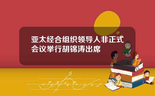 亚太经合组织领导人非正式会议举行胡锦涛出席