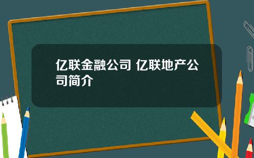 亿联金融公司 亿联地产公司简介