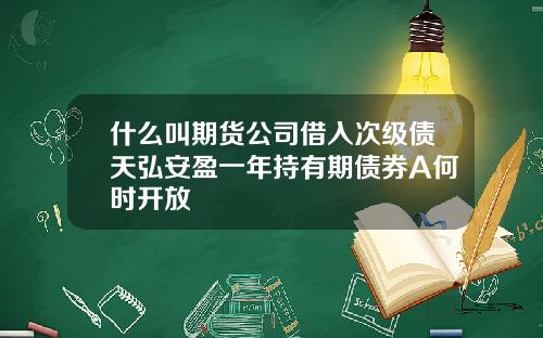 什么叫期货公司借入次级债天弘安盈一年持有期债券A何时开放