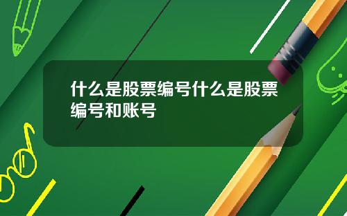 什么是股票编号什么是股票编号和账号