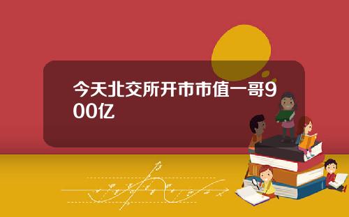 今天北交所开市市值一哥900亿