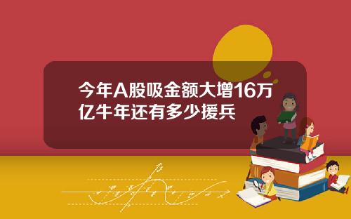 今年A股吸金额大增16万亿牛年还有多少援兵