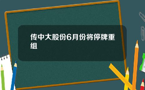 传中大股份6月份将停牌重组