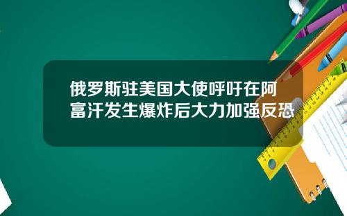 俄罗斯驻美国大使呼吁在阿富汗发生爆炸后大力加强反恐