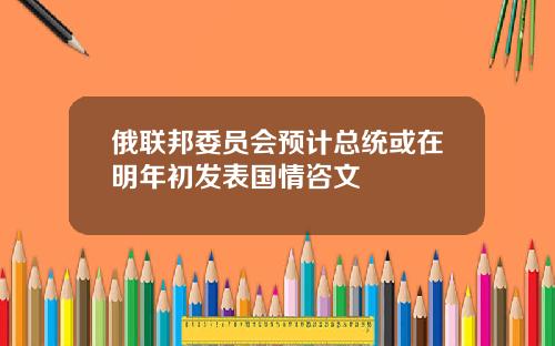 俄联邦委员会预计总统或在明年初发表国情咨文