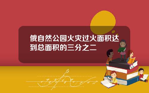 俄自然公园火灾过火面积达到总面积的三分之二