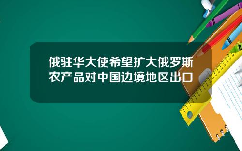 俄驻华大使希望扩大俄罗斯农产品对中国边境地区出口