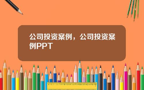 公司投资案例，公司投资案例PPT