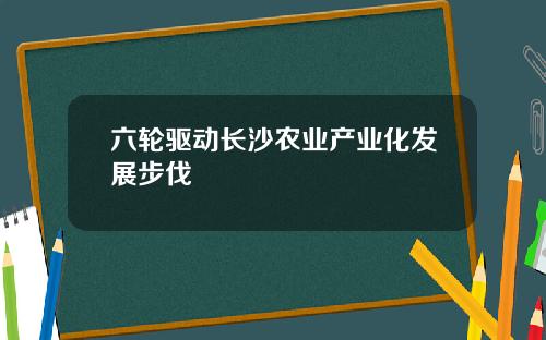 六轮驱动长沙农业产业化发展步伐