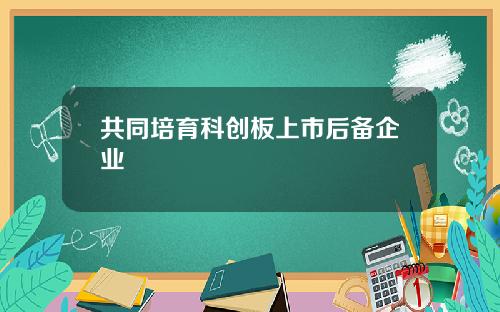 共同培育科创板上市后备企业