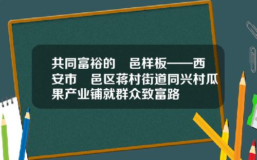 共同富裕的鄠邑样板——西安市鄠邑区蒋村街道同兴村瓜果产业铺就群众致富路