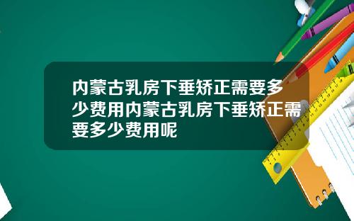 内蒙古乳房下垂矫正需要多少费用内蒙古乳房下垂矫正需要多少费用呢