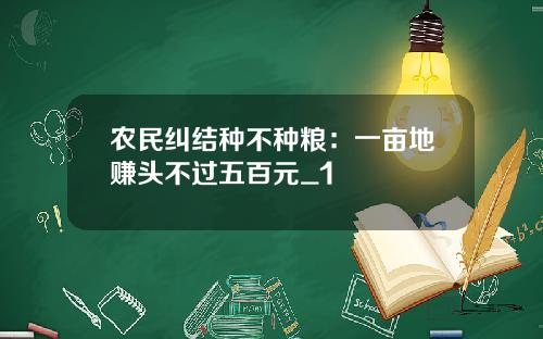 农民纠结种不种粮：一亩地赚头不过五百元_1