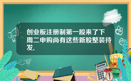 创业板注册制第一股来了下周二申购尚有这些新股整装待发.
