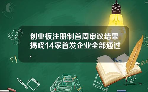 创业板注册制首周审议结果揭晓14家首发企业全部通过.
