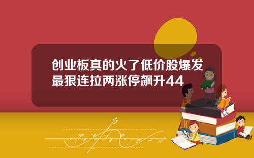 创业板真的火了低价股爆发最狠连拉两涨停飙升44