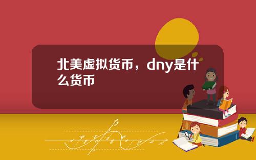 北美虚拟货币，dny是什么货币