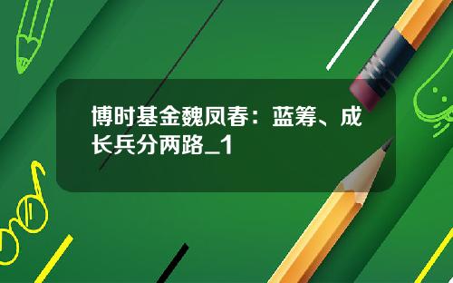 博时基金魏凤春：蓝筹、成长兵分两路_1