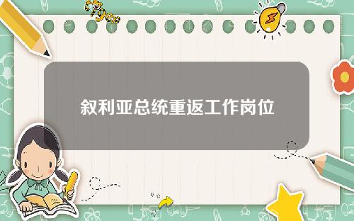 叙利亚总统重返工作岗位