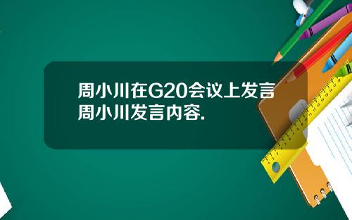 周小川在G20会议上发言周小川发言内容.