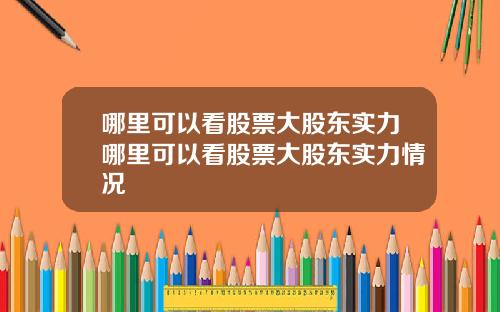 哪里可以看股票大股东实力哪里可以看股票大股东实力情况