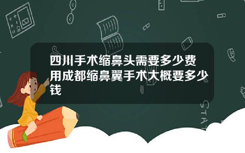 四川手术缩鼻头需要多少费用成都缩鼻翼手术大概要多少钱