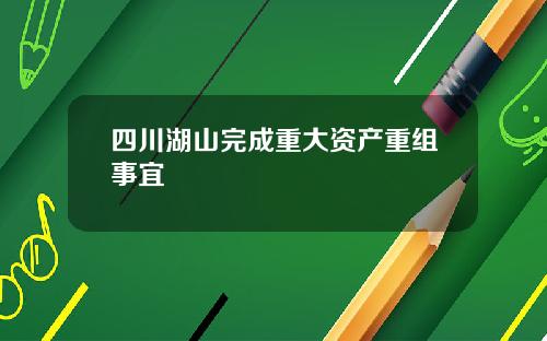 四川湖山完成重大资产重组事宜