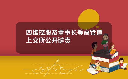 四维控股及董事长等高管遭上交所公开谴责