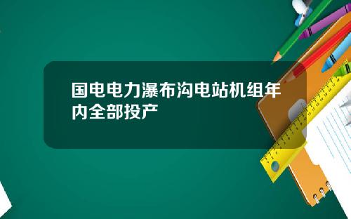 国电电力瀑布沟电站机组年内全部投产
