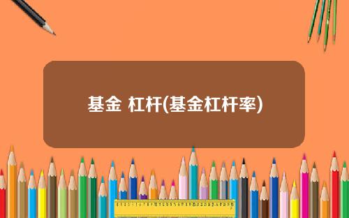 基金 杠杆(基金杠杆率)