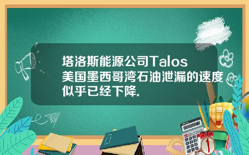 塔洛斯能源公司Talos美国墨西哥湾石油泄漏的速度似乎已经下降.