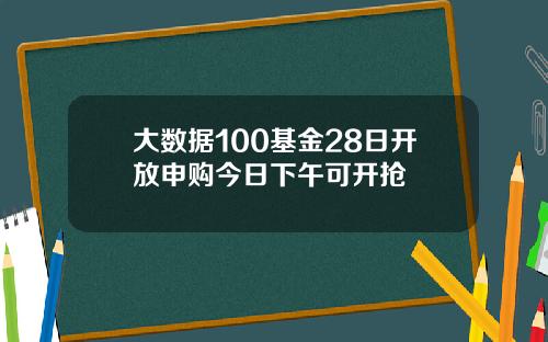 大数据100基金28日开放申购今日下午可开抢