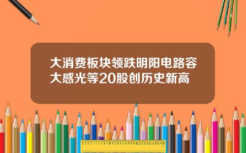 大消费板块领跌明阳电路容大感光等20股创历史新高
