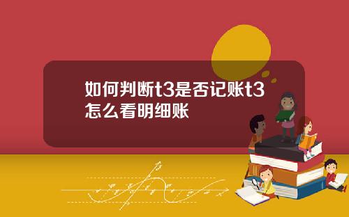 如何判断t3是否记账t3怎么看明细账