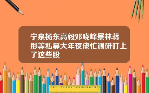 宁泉杨东高毅邓晓峰景林蒋彤等私募大年夜佬忙调研盯上了这些股