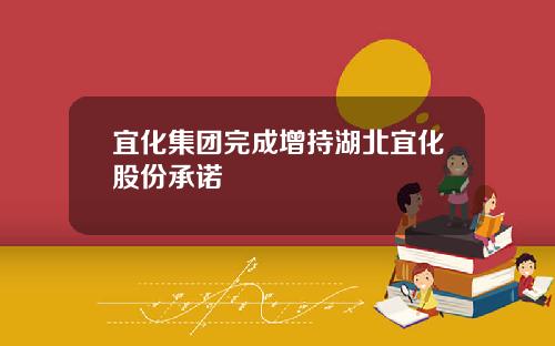 宜化集团完成增持湖北宜化股份承诺