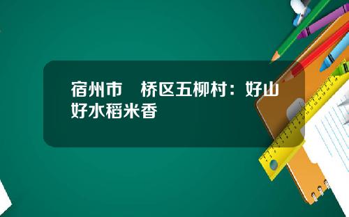 宿州市埇桥区五柳村：好山好水稻米香