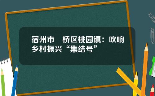 宿州市埇桥区桃园镇：吹响乡村振兴“集结号”