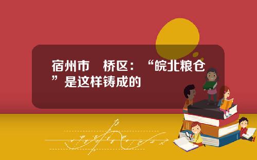 宿州市埇桥区：“皖北粮仓”是这样铸成的