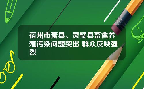 宿州市萧县、灵璧县畜禽养殖污染问题突出 群众反映强烈