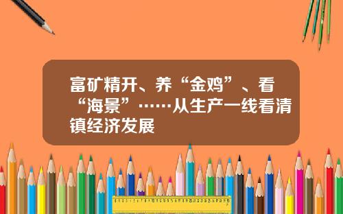 富矿精开、养“金鸡”、看“海景”……从生产一线看清镇经济发展