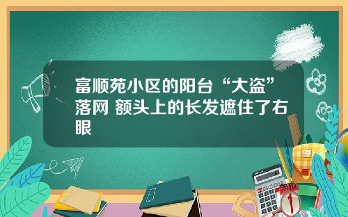 富顺苑小区的阳台“大盗”落网 额头上的长发遮住了右眼