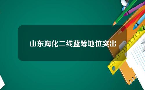 山东海化二线蓝筹地位突出