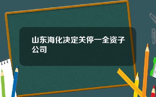 山东海化决定关停一全资子公司