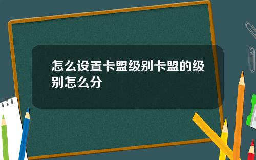怎么设置卡盟级别卡盟的级别怎么分