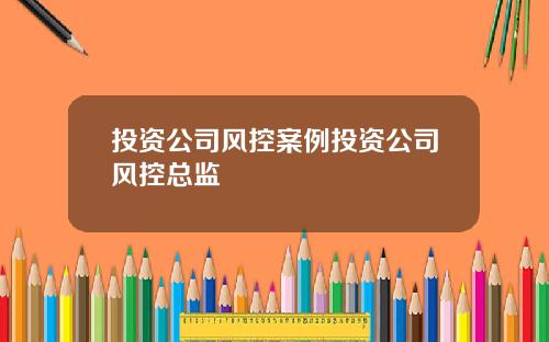 投资公司风控案例投资公司风控总监