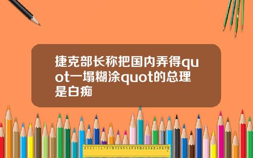 捷克部长称把国内弄得quot一塌糊涂quot的总理是白痴