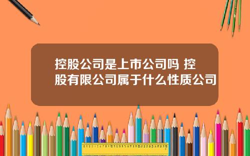 控股公司是上市公司吗 控股有限公司属于什么性质公司