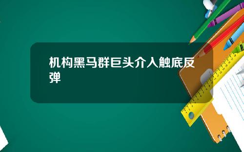 机构黑马群巨头介入触底反弹