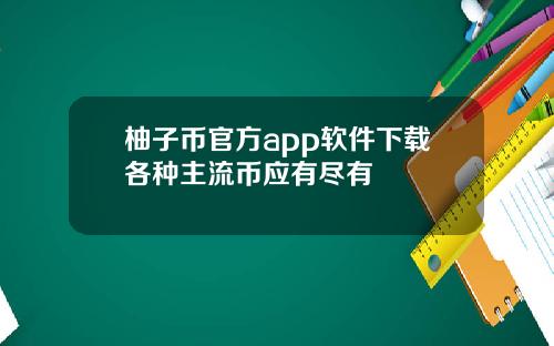 柚子币官方app软件下载各种主流币应有尽有
